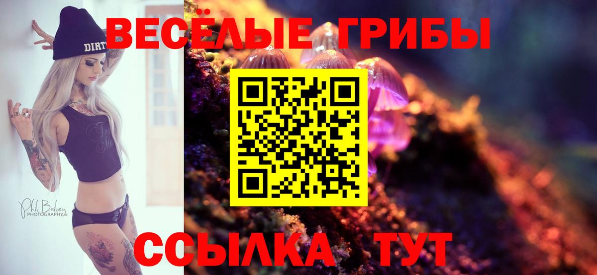Галлюциногенные грибы ЛСД  Вход с VPN  что такое   Дальнегорск 